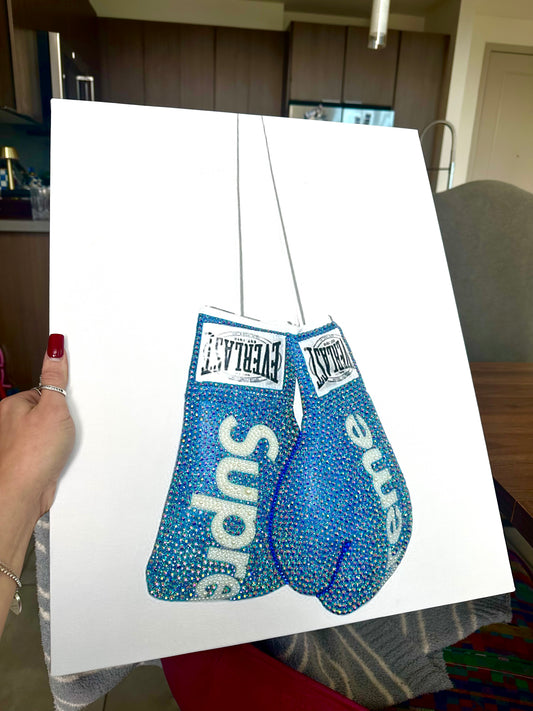 Supreme boxer gloves kit