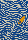 Blue surf kit