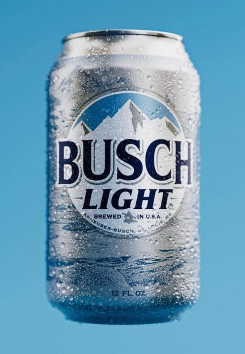 Busch light kit