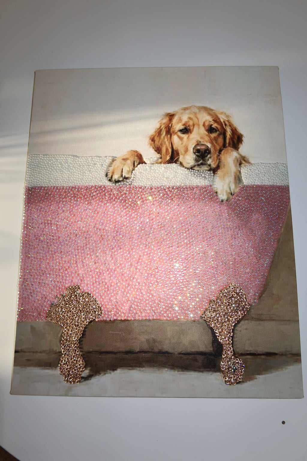 Dog bathtub kit