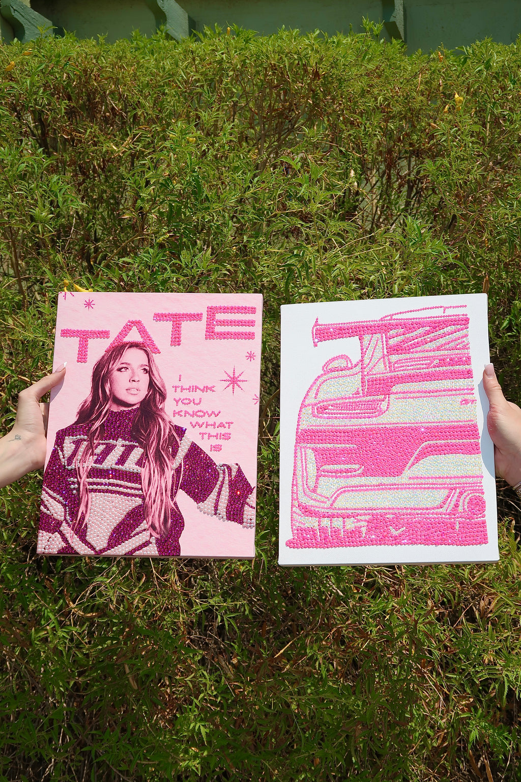 Pink car kit