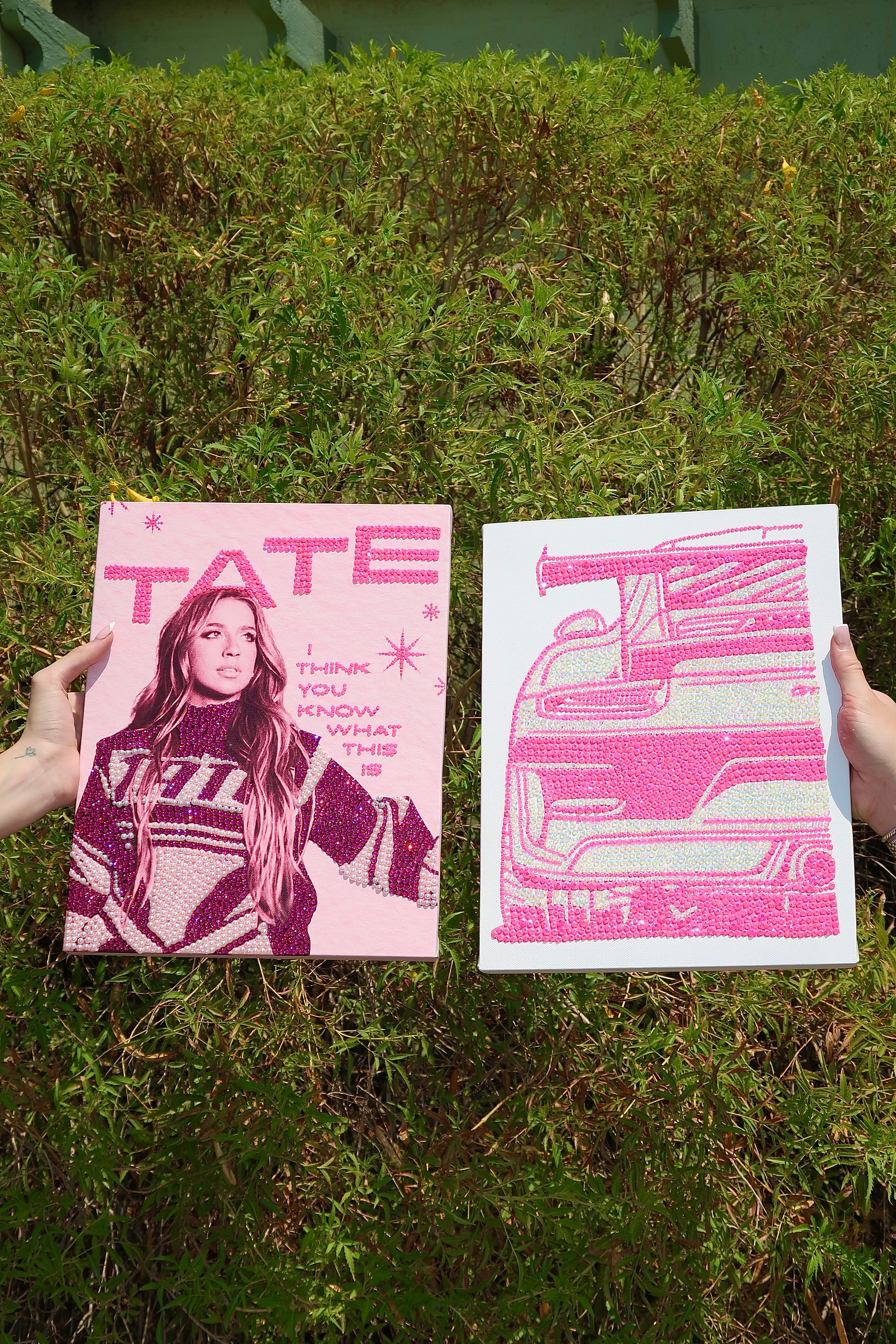 Pink car kit