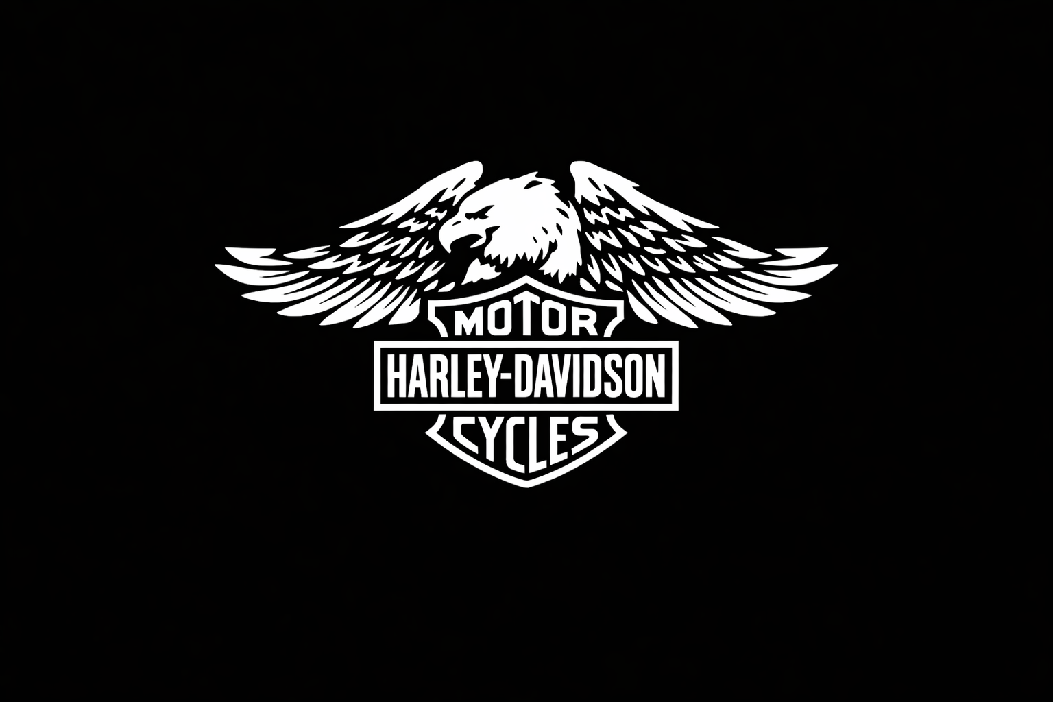 Harley Davidson kit