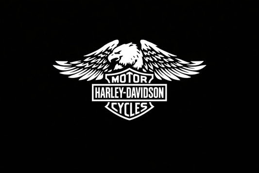 Harley Davidson kit