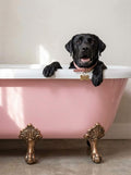 Black dog bathtub kit