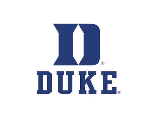 Custom duke kit