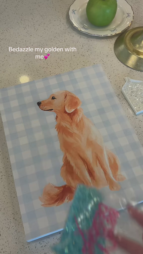 Boy golden retriever kit